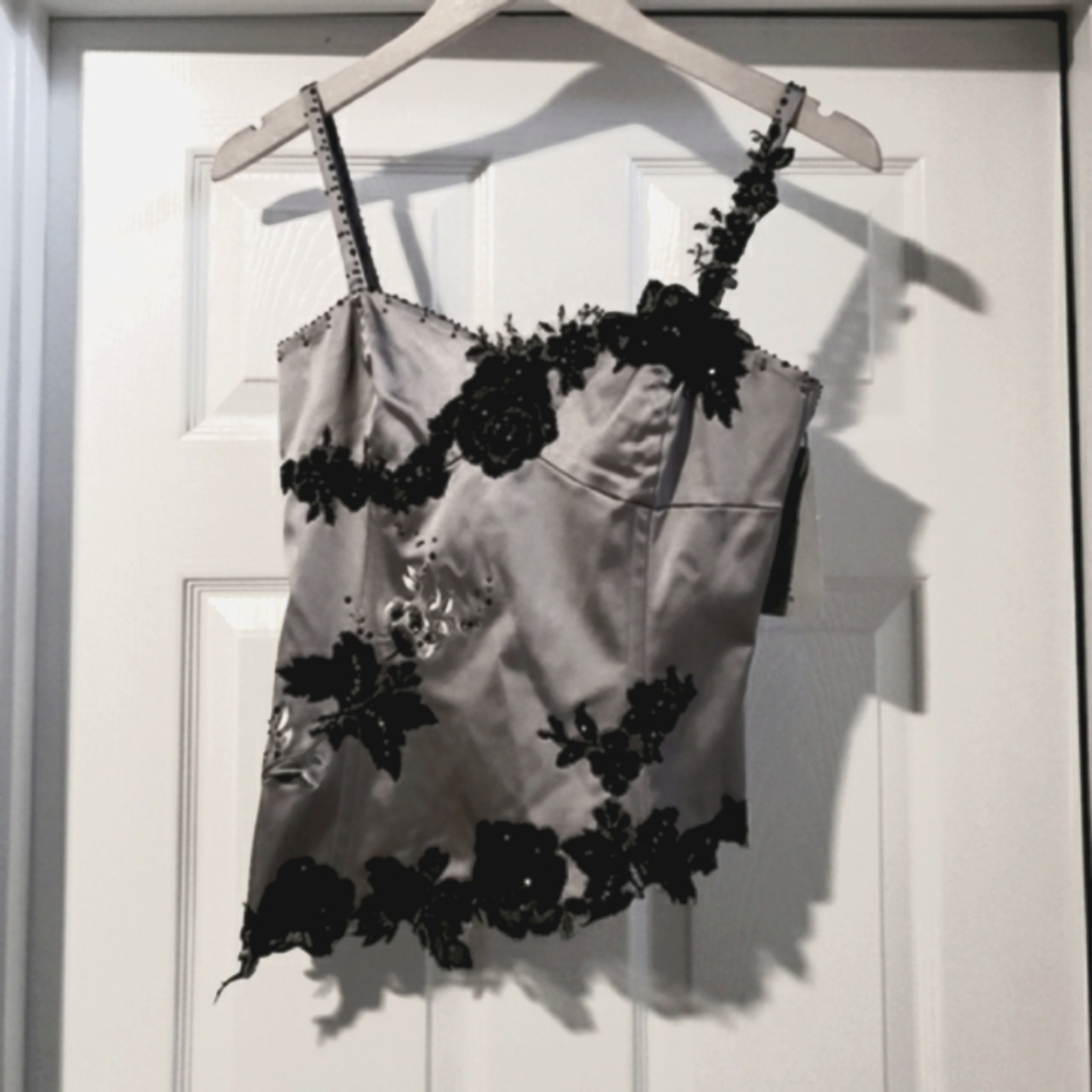 Nwt Adrianna Papell formal Bustier asymmetrical top